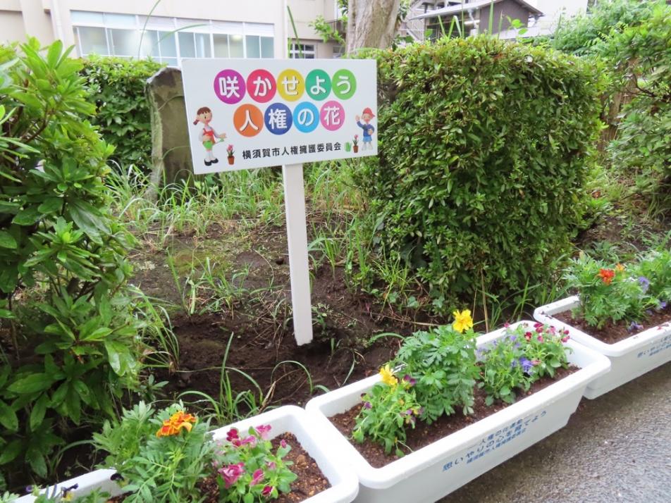 人権の花（花壇）