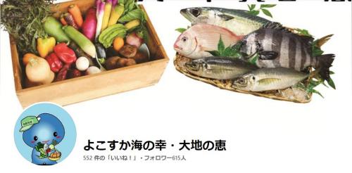 よこすか海の幸・大地の恵