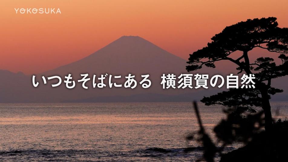 いつもそばにある横須賀の自然