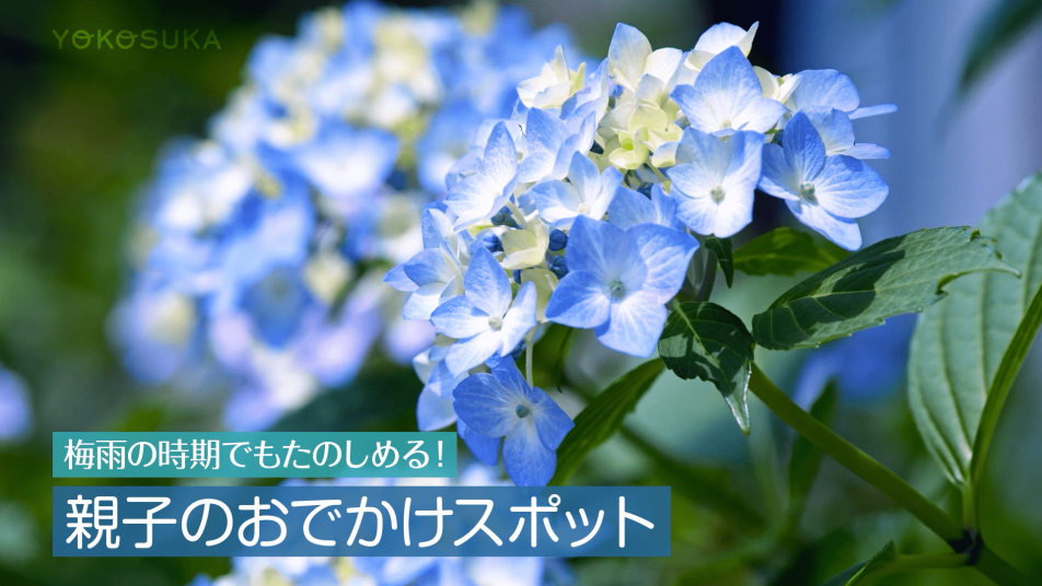 親子のお出かけスポット