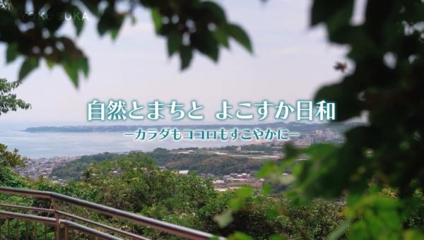 自然とまちと よこすか日和