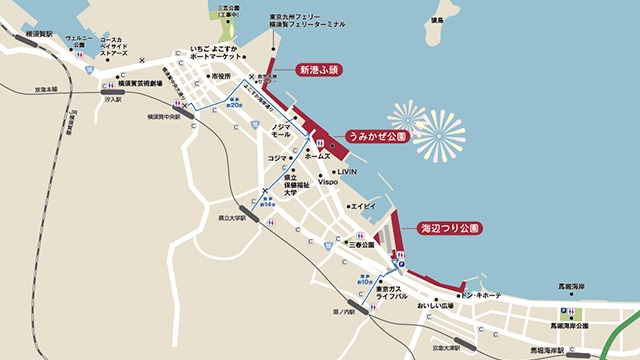 開国花火大会2026観覧場所