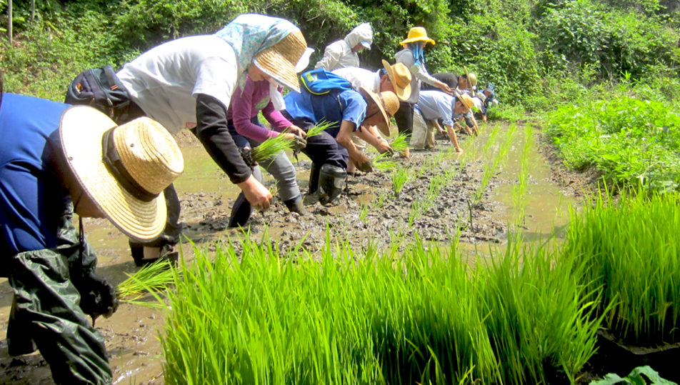 さと☆ぼら講習会