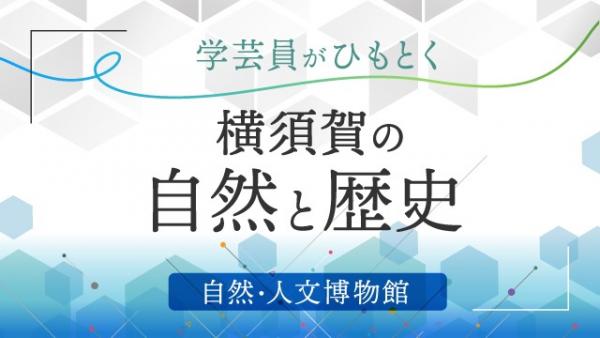 博物館連載バナー