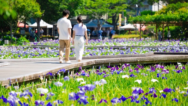 よこすか風景散歩6月