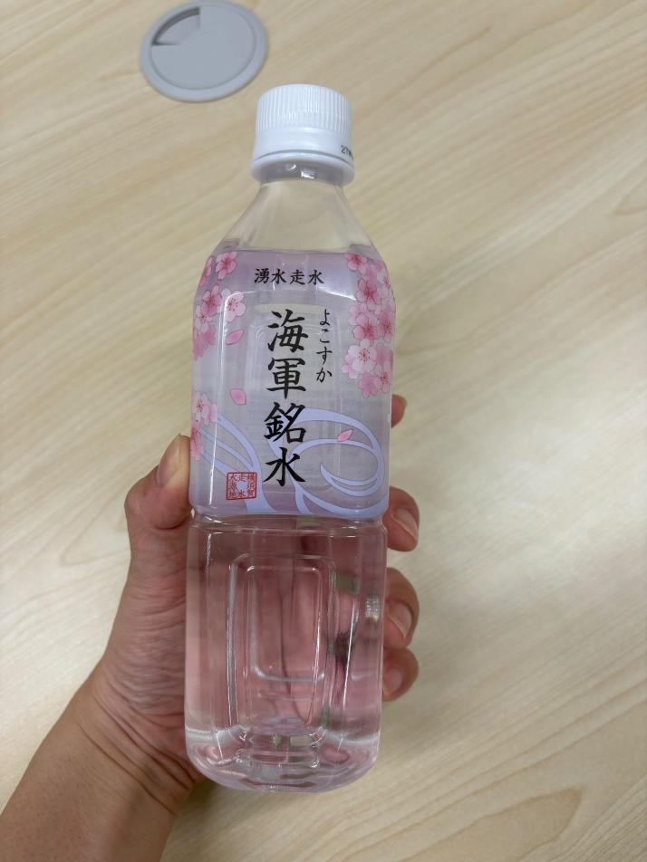 猿島の水