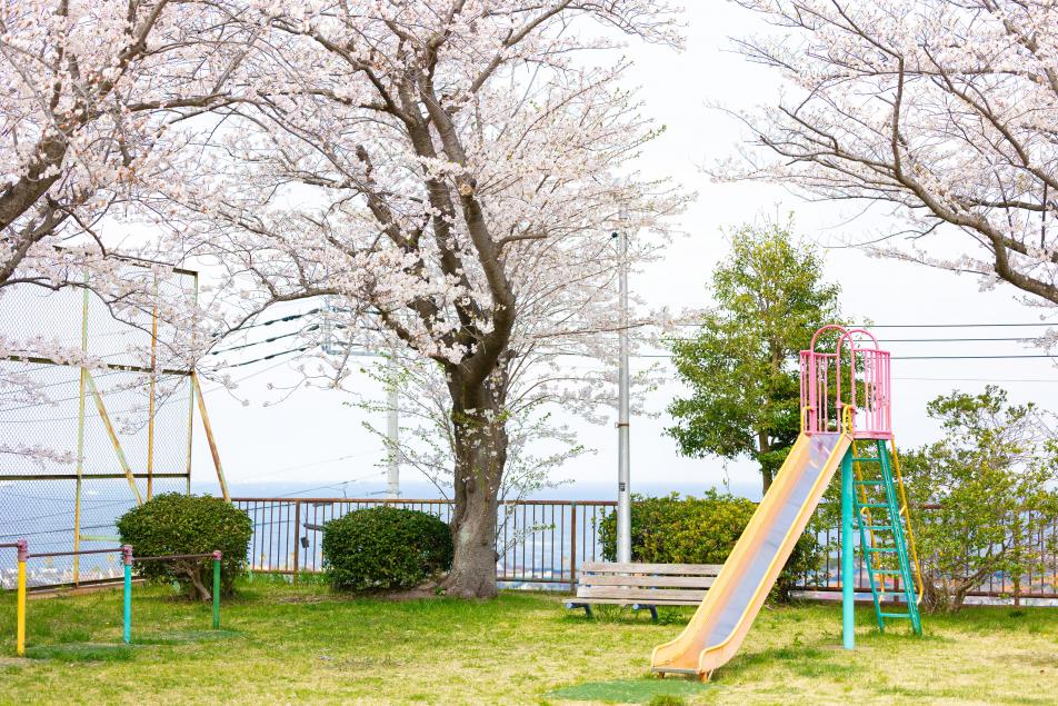公園3