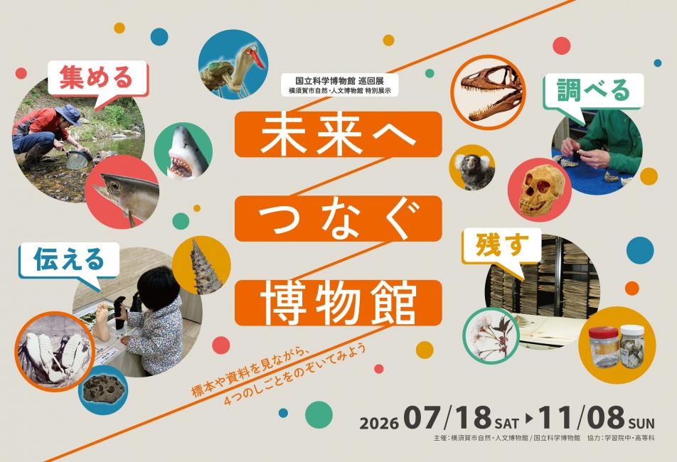 博物館_バナー