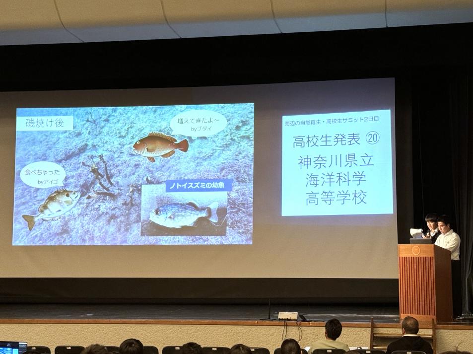 サミット_発表