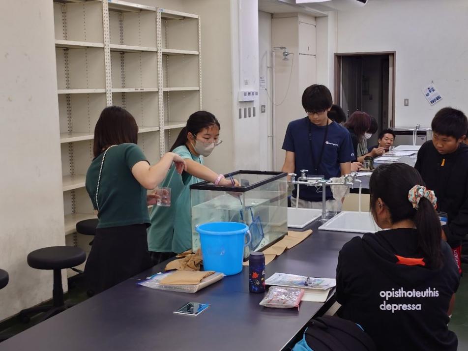 NihonUniv04