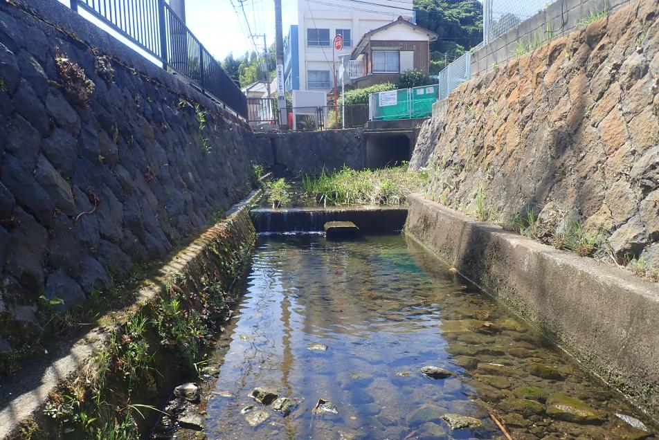 wadagawacyousachijyoutan