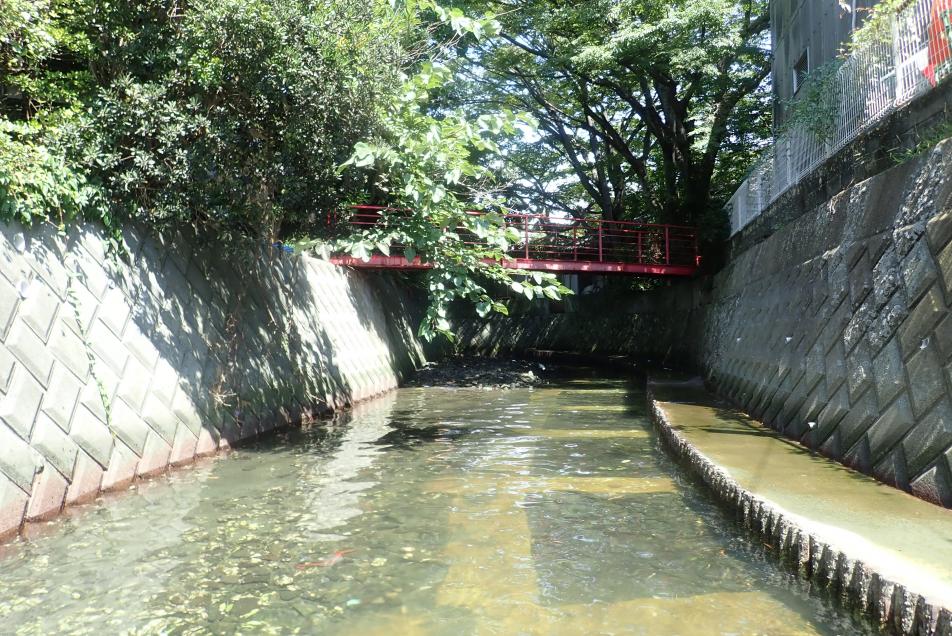 wadagawakisuiiki