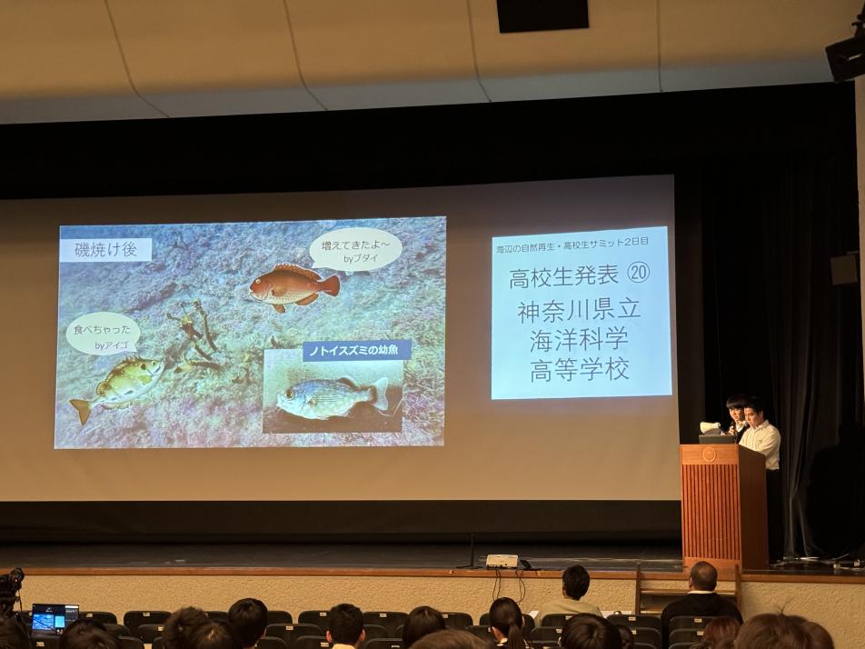 昨年の様子
