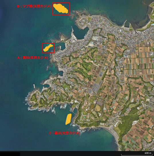 令和7年度測定エリア