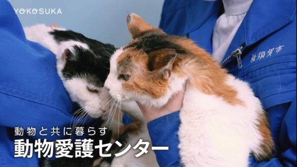 動物愛護センター