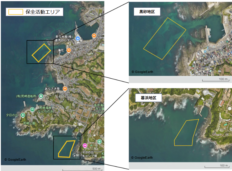 藻場測定エリア