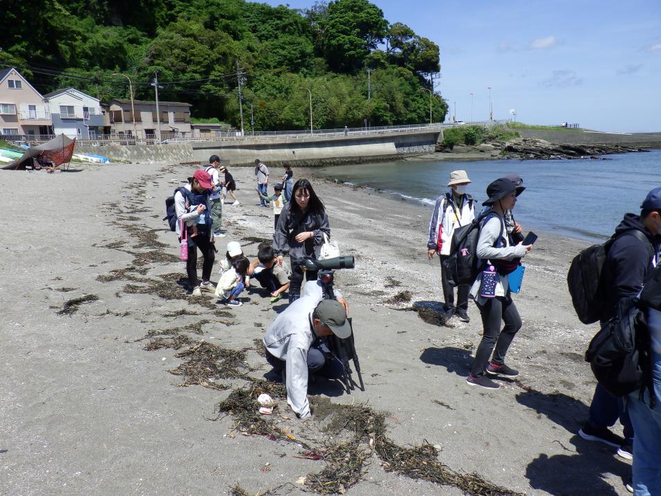 山本先生の説明