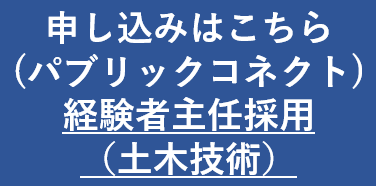 キャリア
