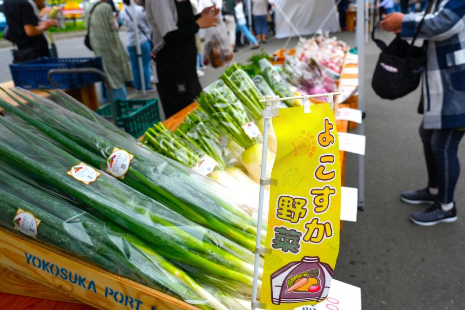 yokosukaasaichi4
