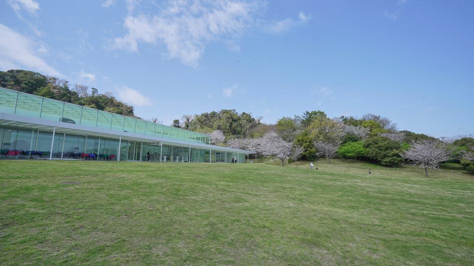 横須賀美術館 海の広場