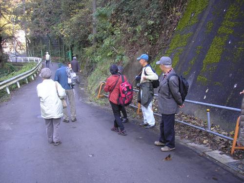 里山ツアー参加者の様子