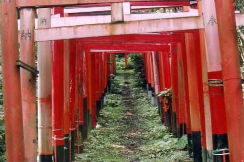 白赤稲荷鳥居写真