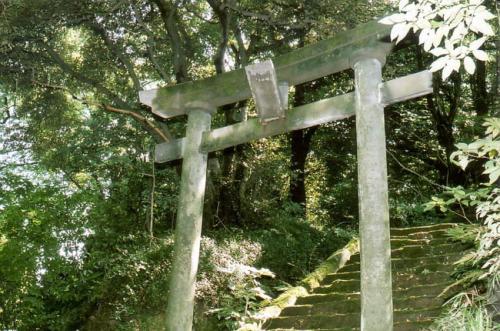 吾妻社鳥居写真