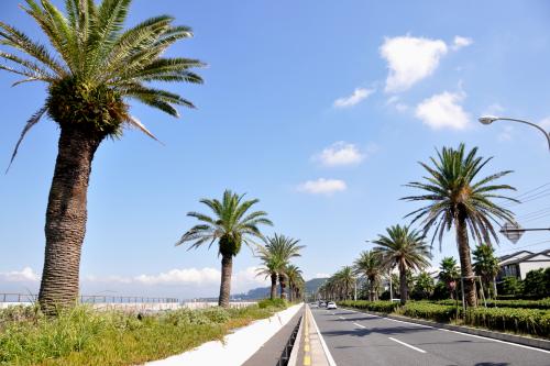 うみかぜの路馬堀海岸