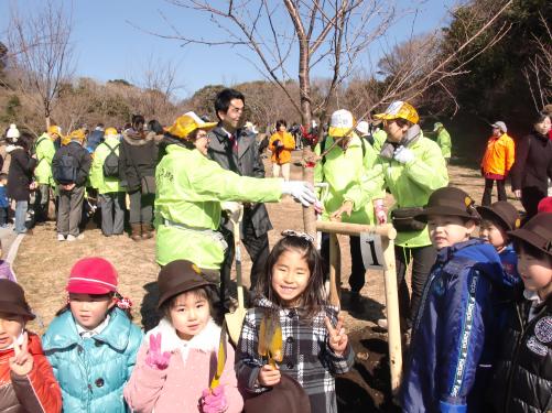 観音崎の桜の植樹