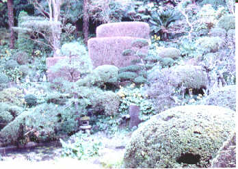 常福寺の庭園