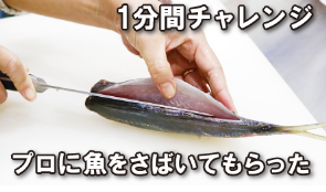 1分間チャレンジ！プロに魚をさばいてもらった
