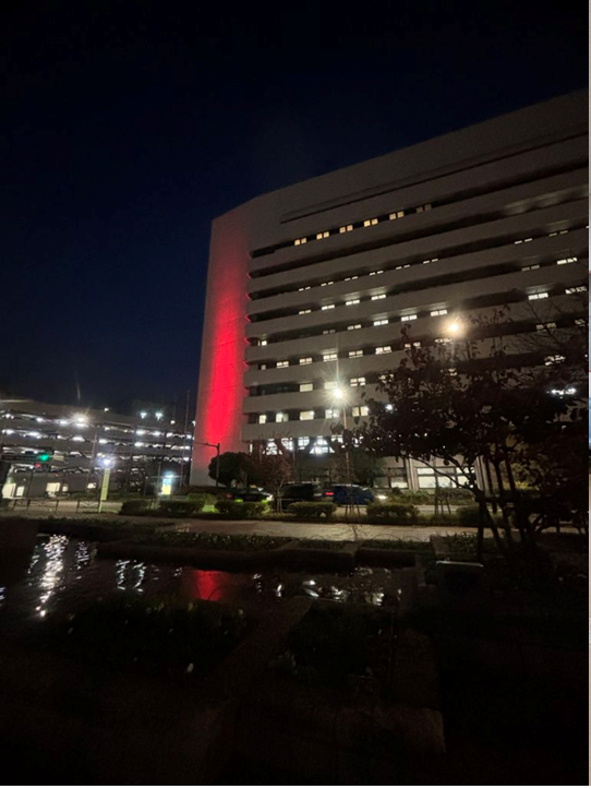 20251201ライトアップ