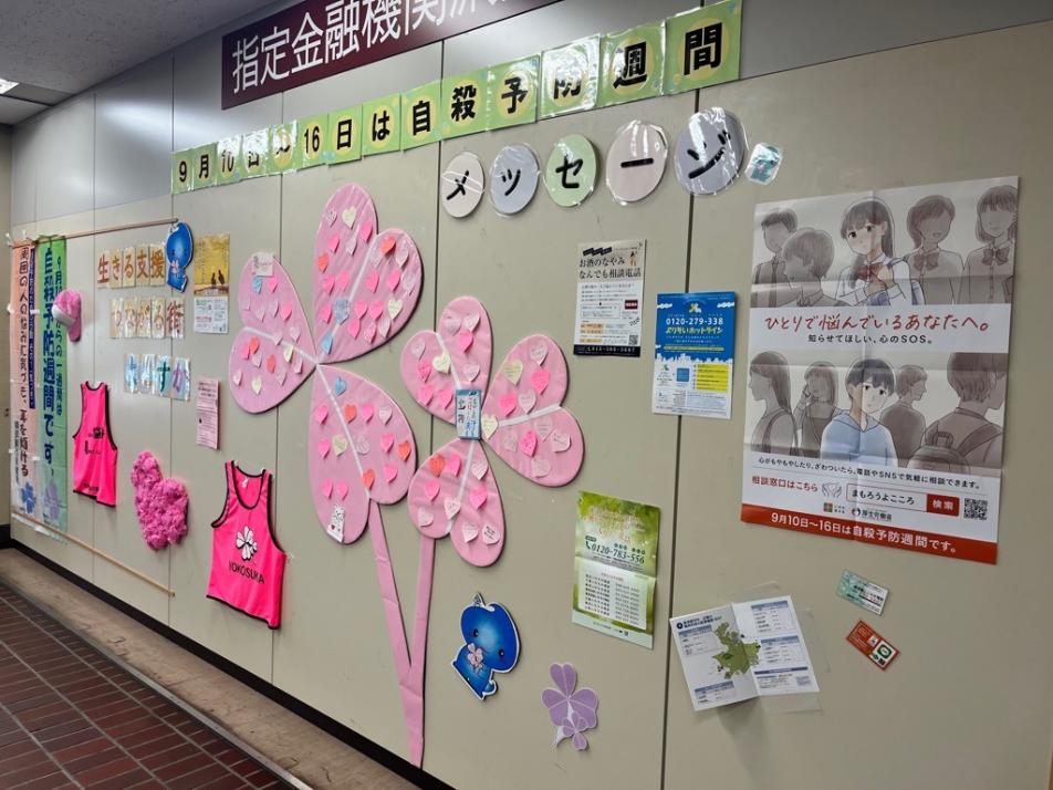 展示全体