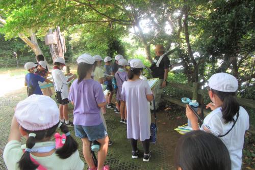 r4toshima2
