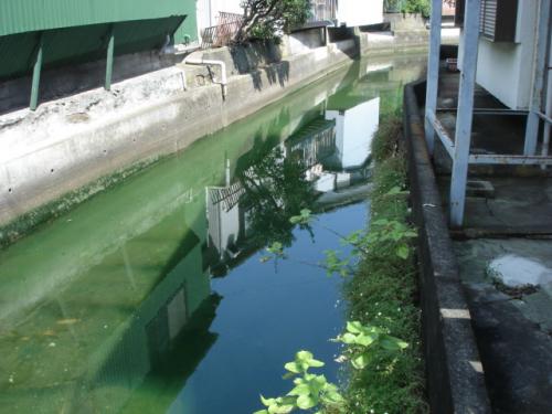 緑色に着色した川