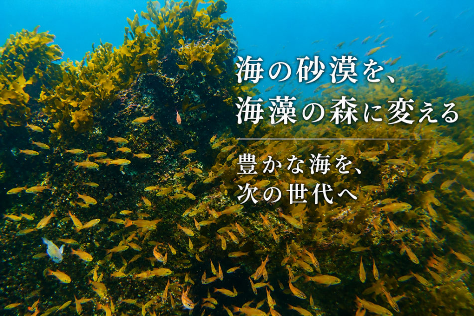 海藻の森再生プロジェクト