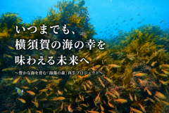 未来につなぐ、横須賀の海！