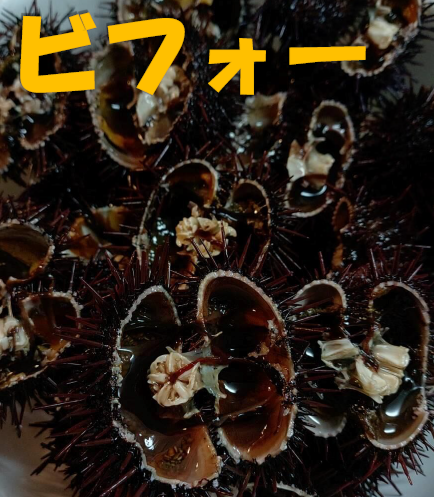 くぼたプレゼン資料ビフォー