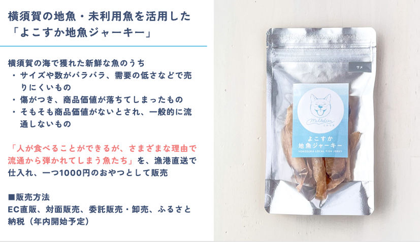 ミルリエ投影