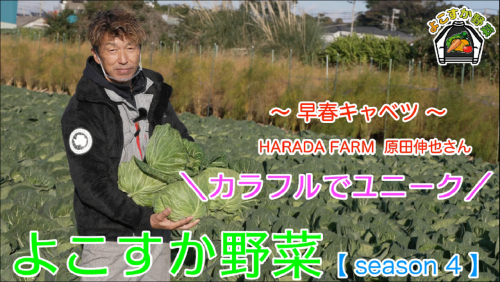 HARADAFARM（動画サムネ）