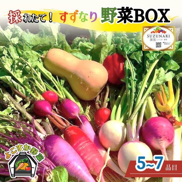 すずなり野菜BOX（ふるさと納税）