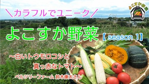 よこすか野菜魅力発信動画1（トウモロコシ・トマト）