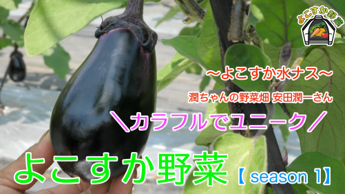 よこすか野菜魅力発信動画2（よこすか水ナス）