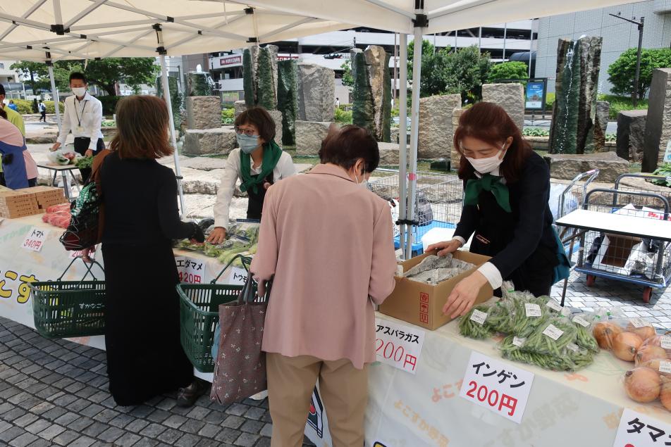 カレーフェスよこすか野菜販売