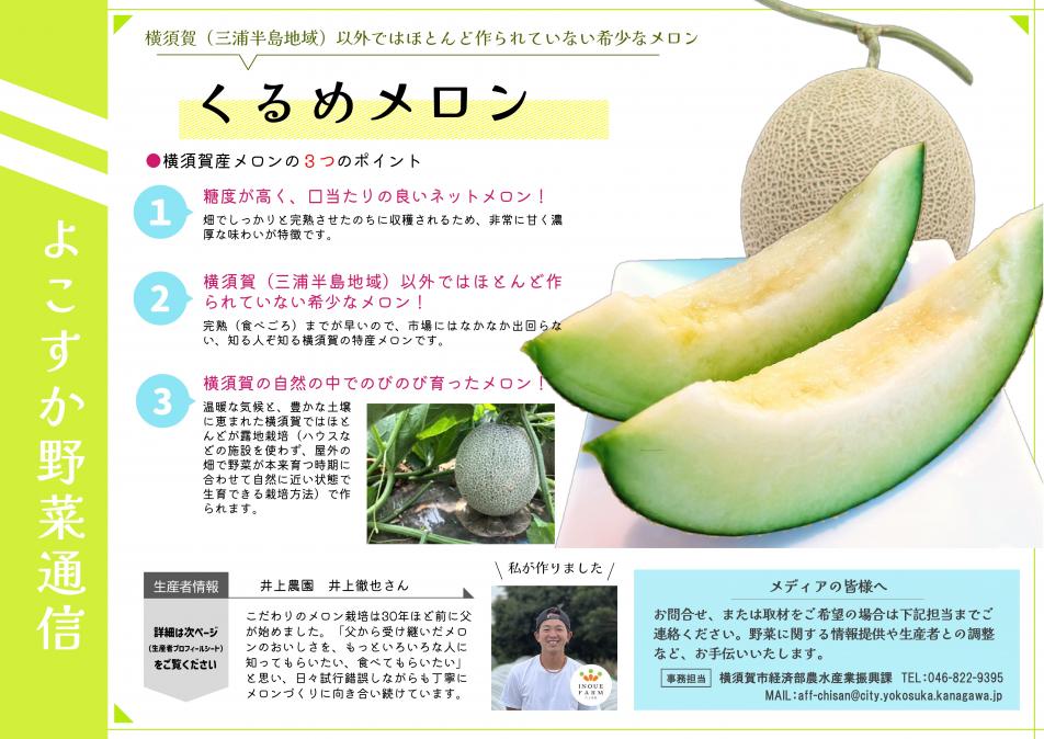 野菜通信7月号（メロン）