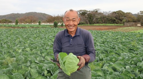 キャベツ農家　島野幸道さん（津久井）