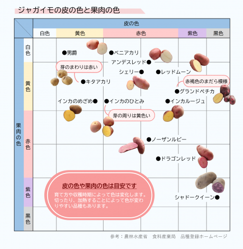 ジャガイモ早見表（色）