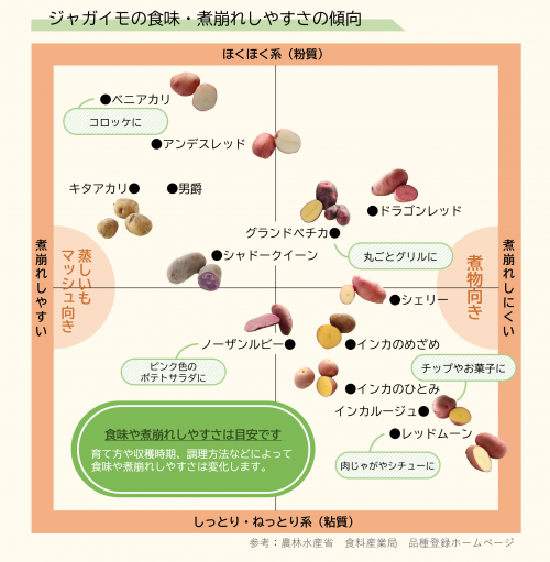 ジャガイモ早見表（食味）