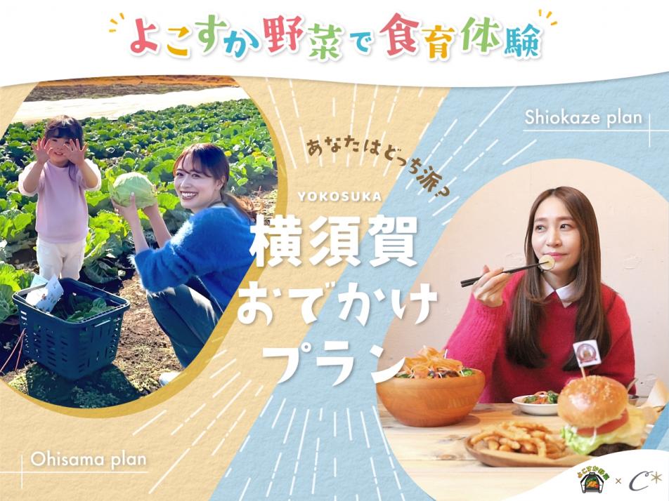 トップ