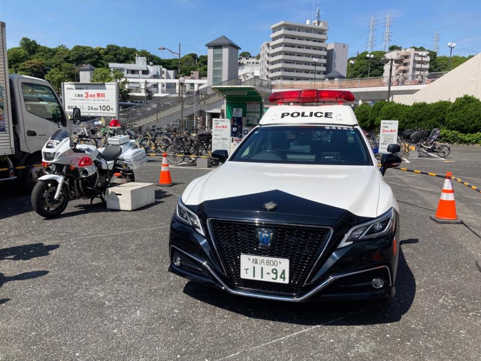 総ぐるみ